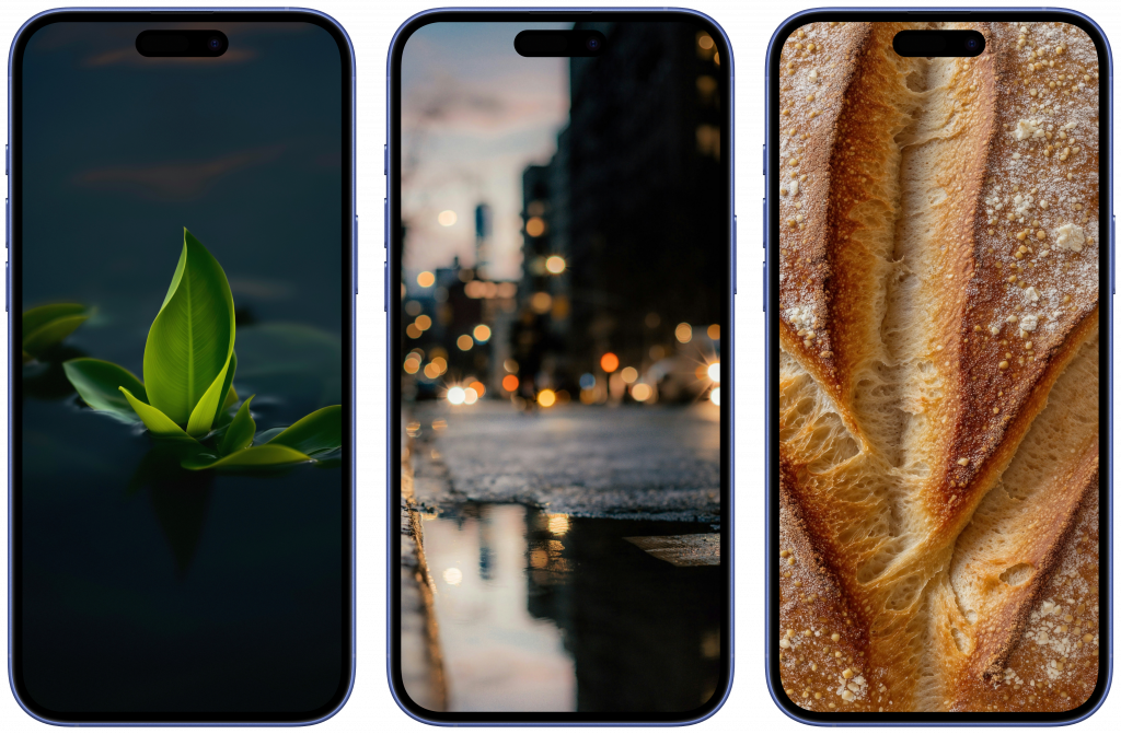 Скачать обои на телефон  📷
