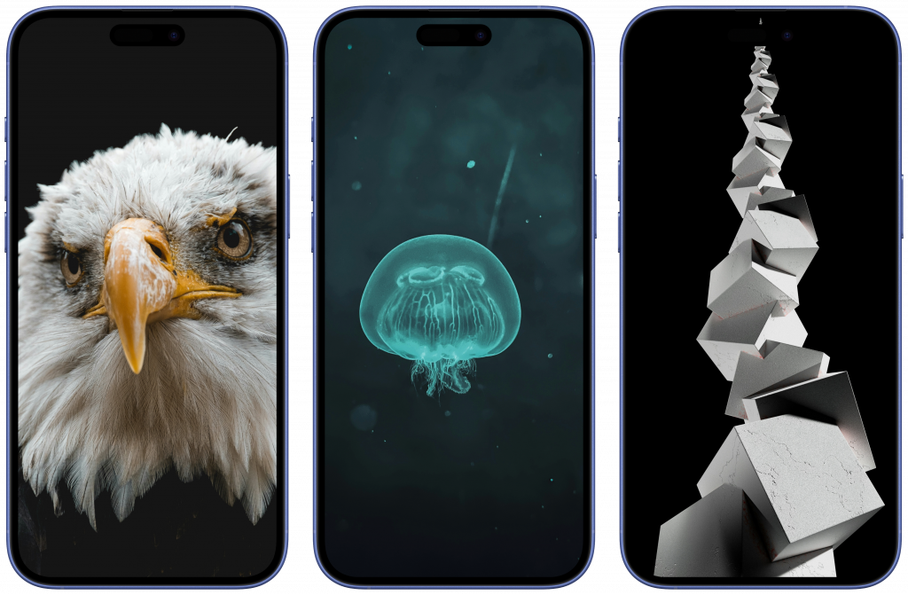  📷    Скачать обои на телефон