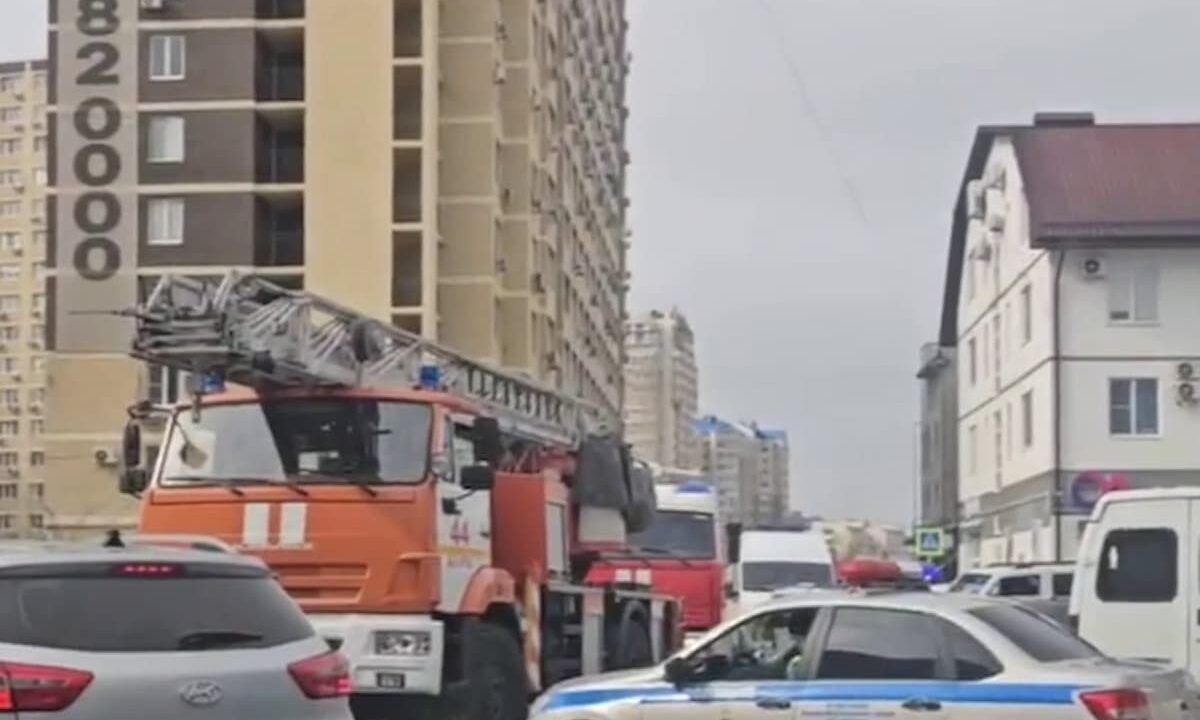    Фото t.me/MoreOz