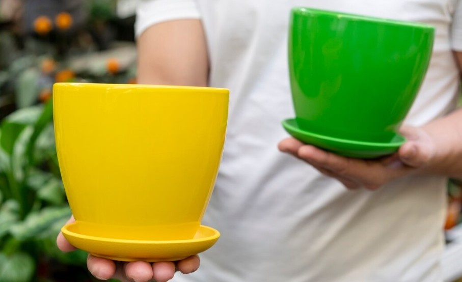 Фото: Яндекс Картинки