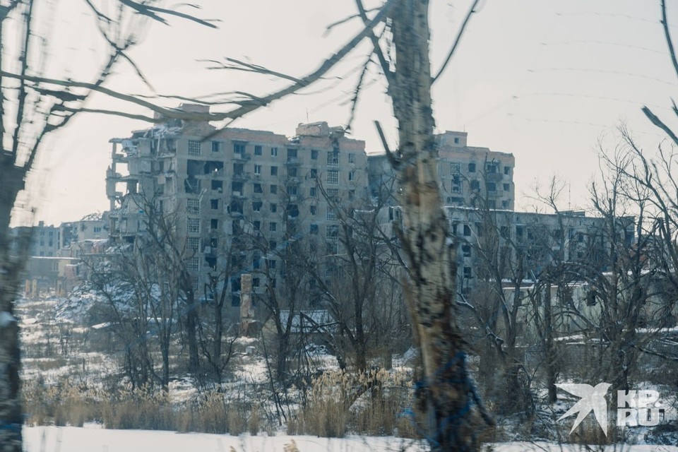   Дмитрий СТЕШИН