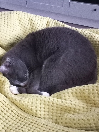 Возмутитель моего спокойствия