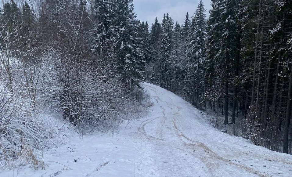    Фото: karelia.news