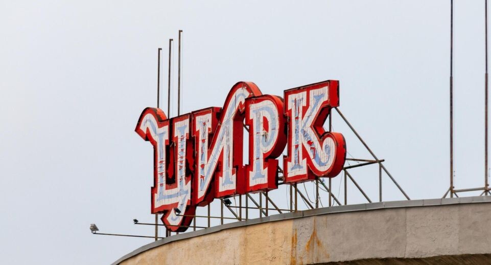    Svetlana Vozmilova / www.globallookpress.com