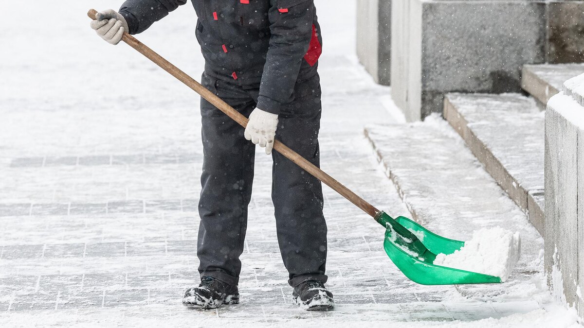    Фото: Ilya Moskovets/globallookpress.com