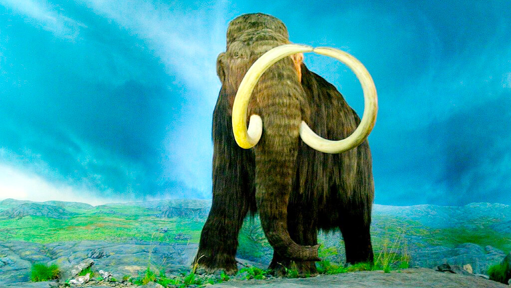 Самым последним мамонтом стал шерстистый, появившийся менее полумиллиона лет назад.