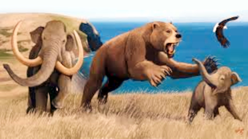 На островах мамонты сильно измельчали.