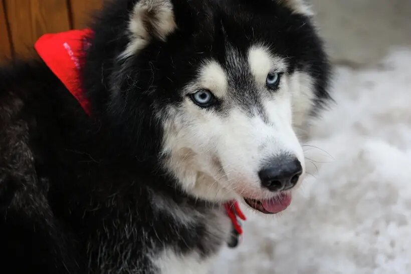     © РИА Новости. Антон Вергун