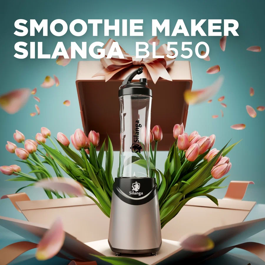 Стационарный блендер Silanga BL550 Gray