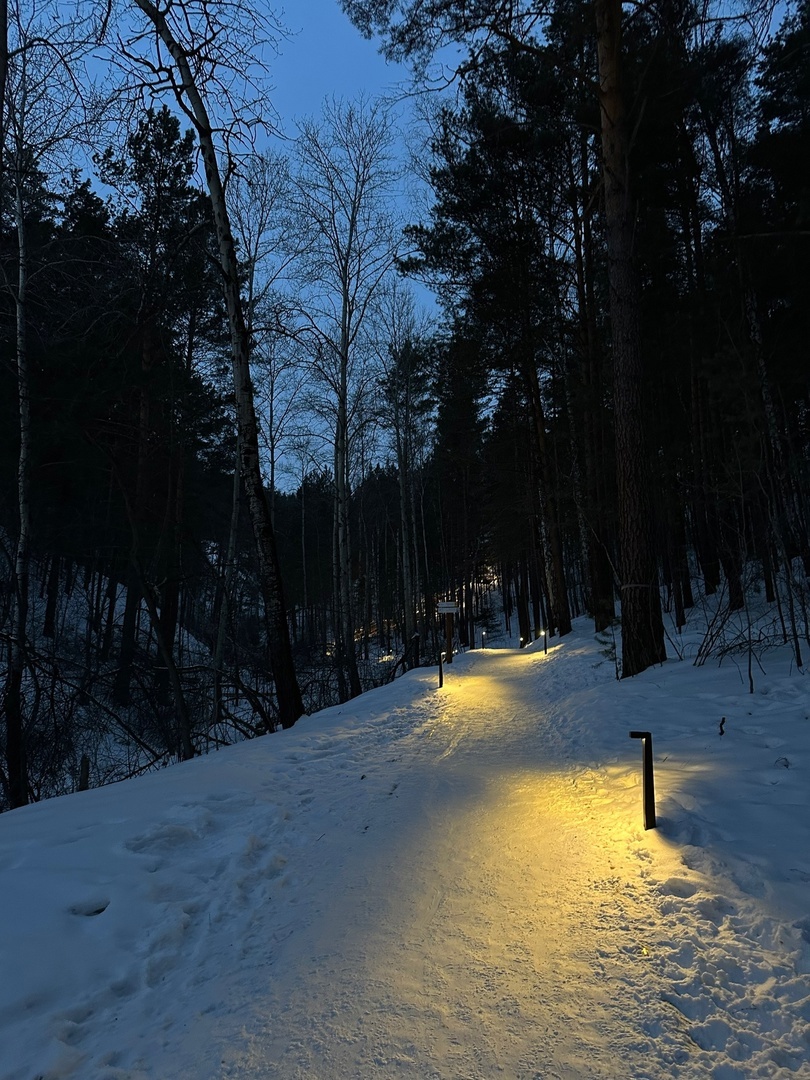 Освещённый путь. Автор фото - моя дочь