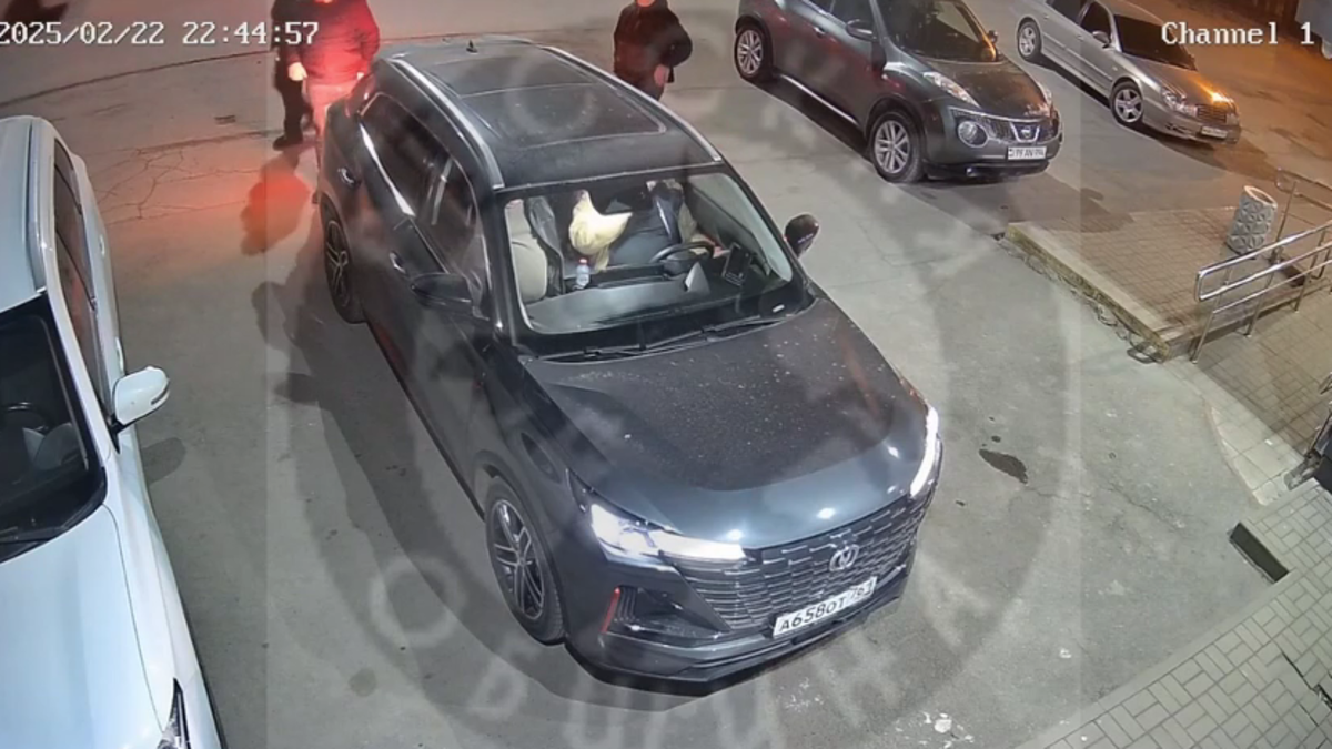 Автор: В. Панченко