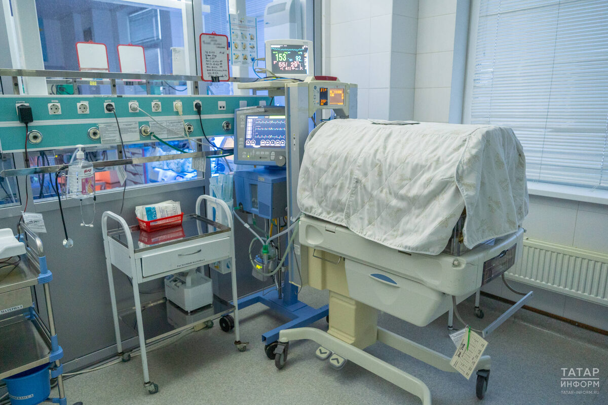 Фото: © Владимир Васильев / «Татар-информ»