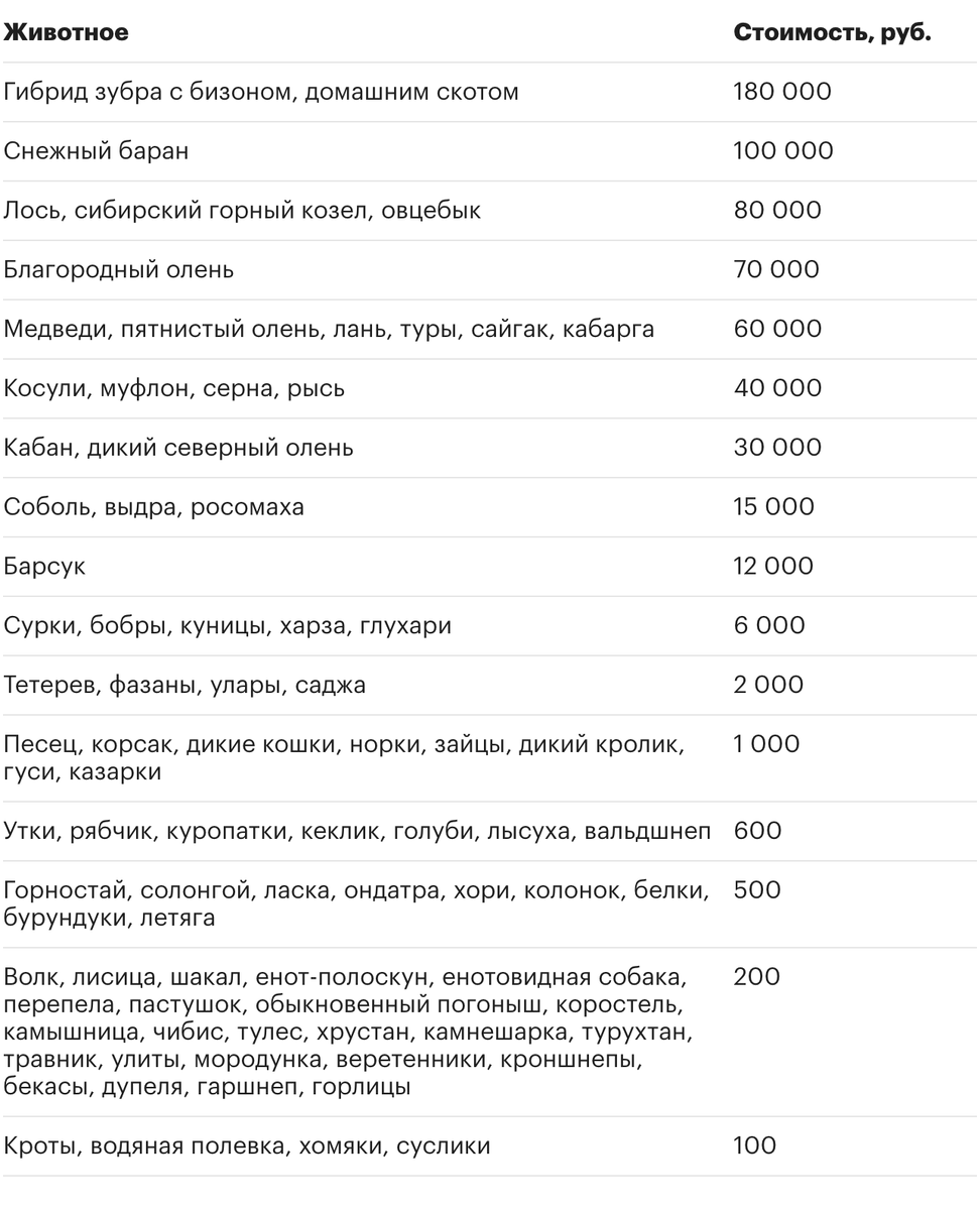 Фото: autonews.ru