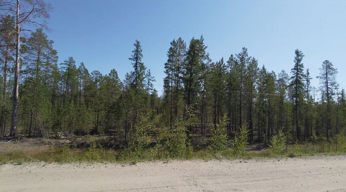 Проезжаем Вилюйский улус. Природа.