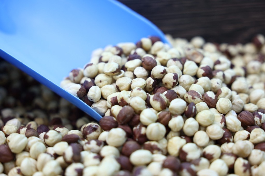    Фото © Владимир Андреев / Абзац