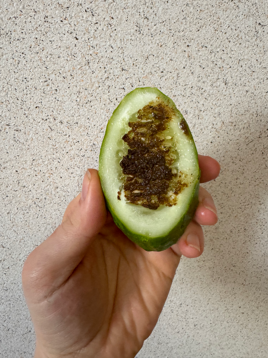 Цвет аджики настоявшейся на огурце, проведите по фото пальцем справа налево, и будет фото перчика