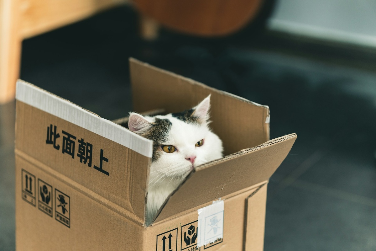 Фото: Jiawei Zhao / Unsplash