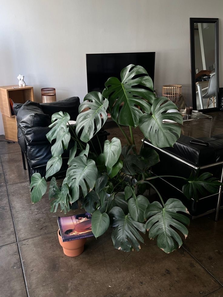 Стильная и статная. 