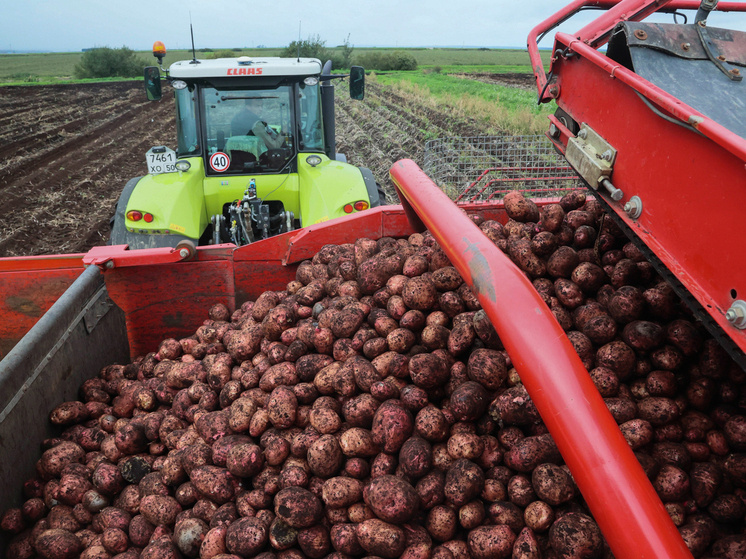 Фото: Наталия Губернаторова