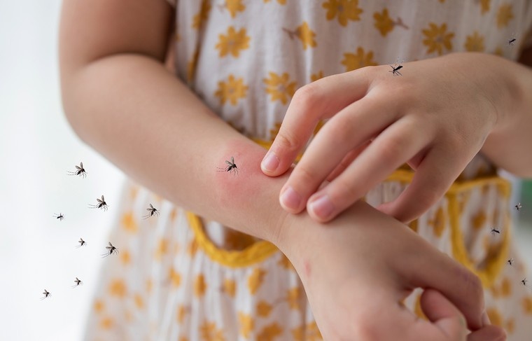    Shutterstock/FOTODOM