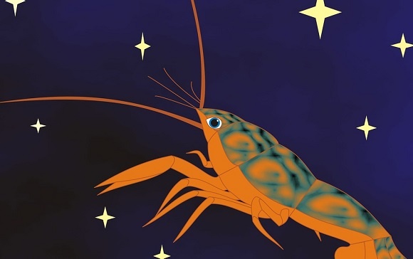 Изображение из открытого источника. Pixabay