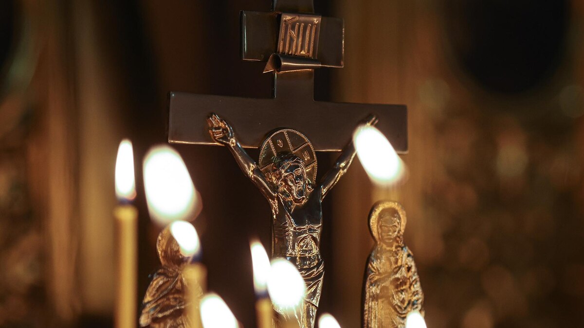 Фото: Belkin Alexey/globallookpress.com