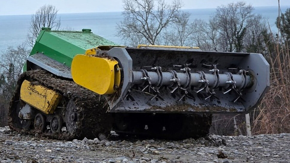 Фото: пресс-служба администрации Сочи