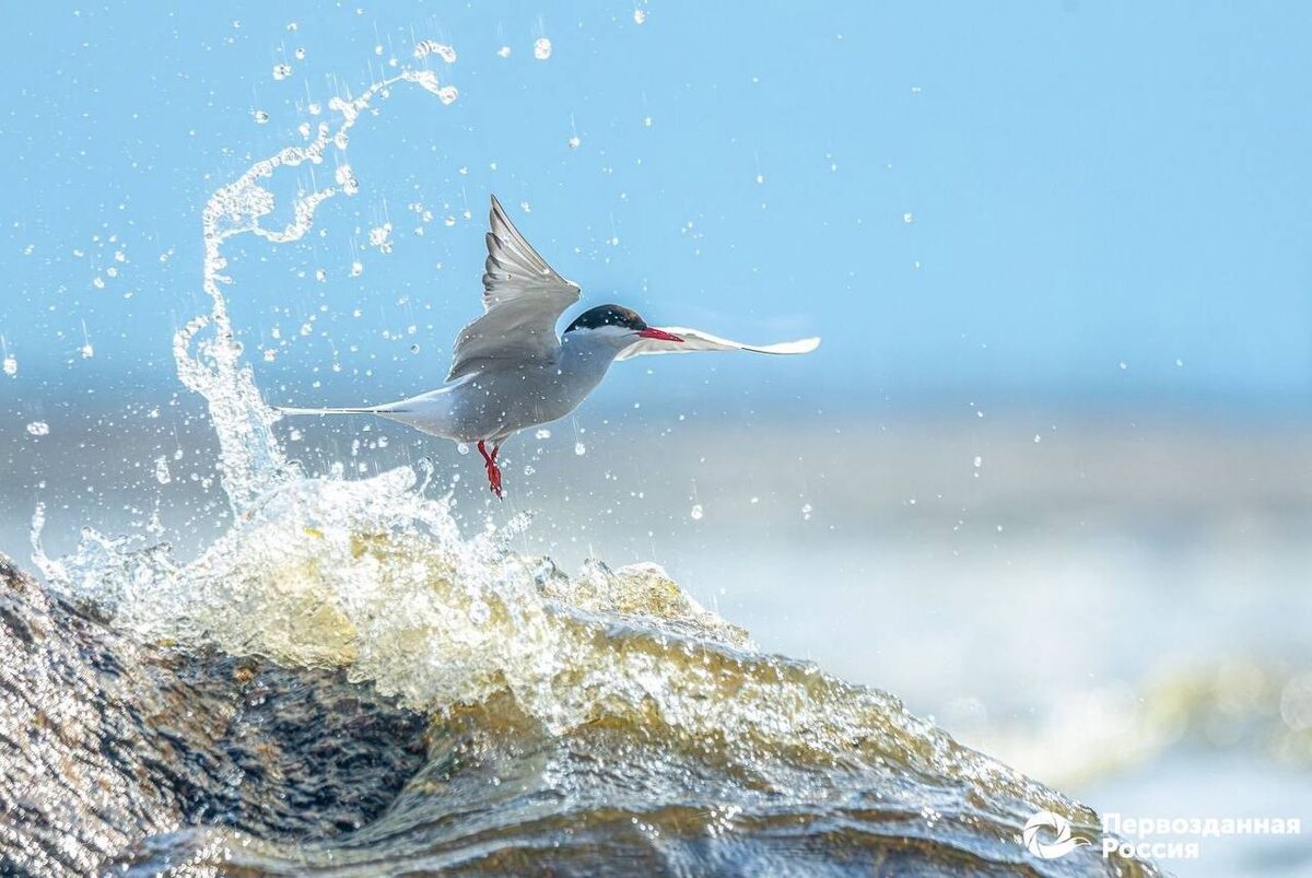 Фото: Дарья Остапенко