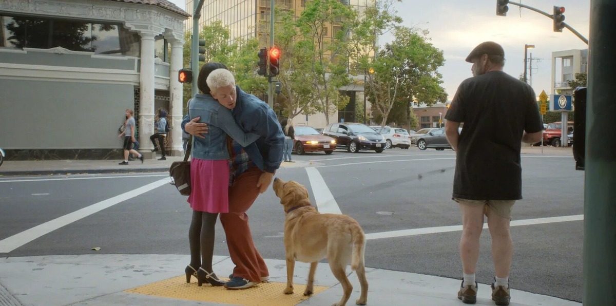 Встретил хохяина спустя неделю