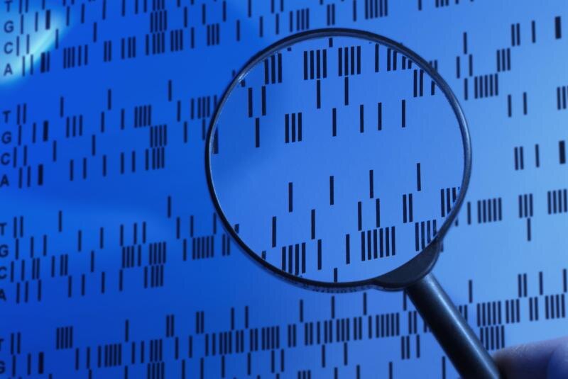    Фото: Simon Belcher/Globallookpress