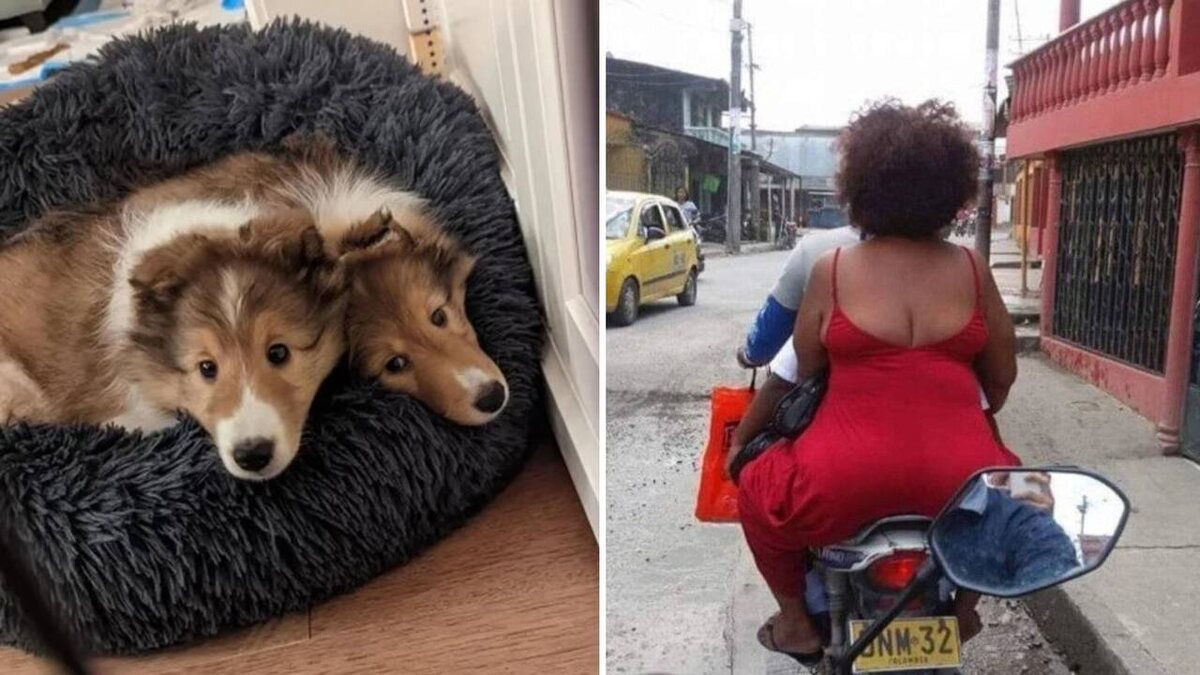 Источник Яндекс Картинки.