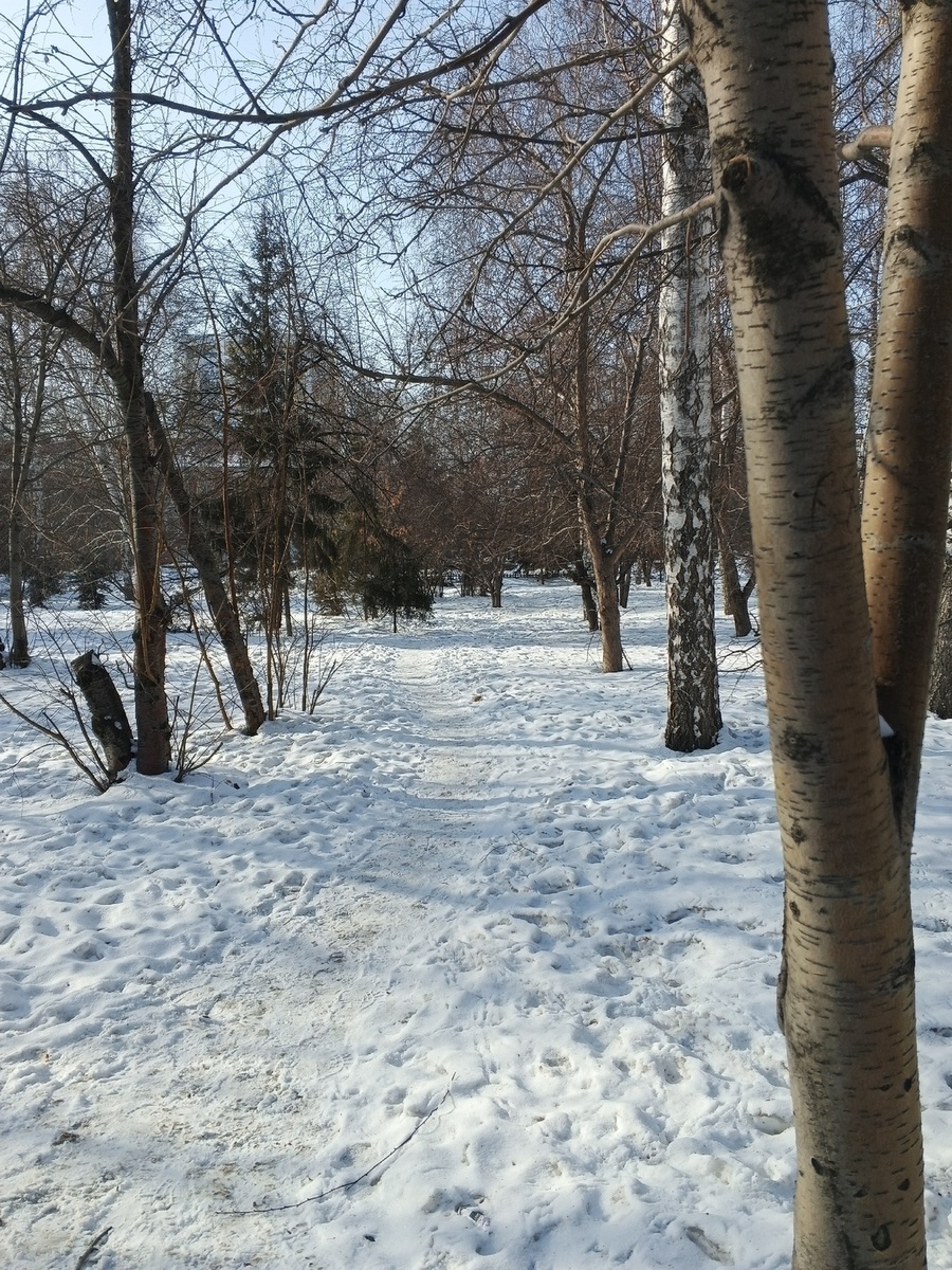 Сквер образца 3.03.2025