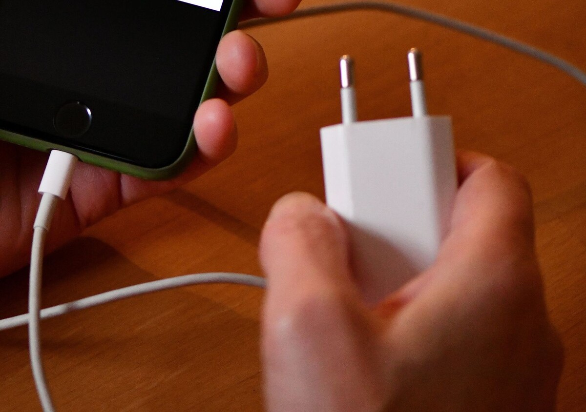     / Источник: © Global Look Press