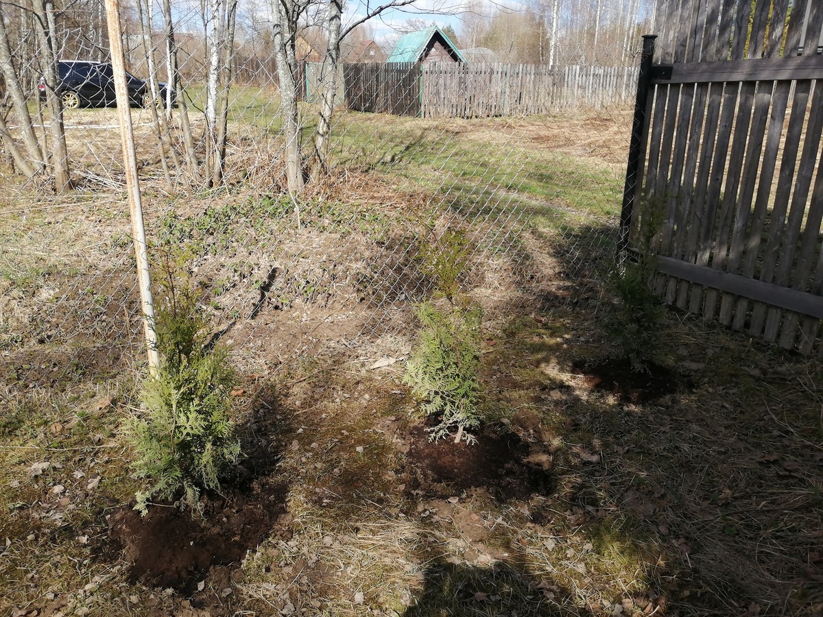 Апрель 2023 г.