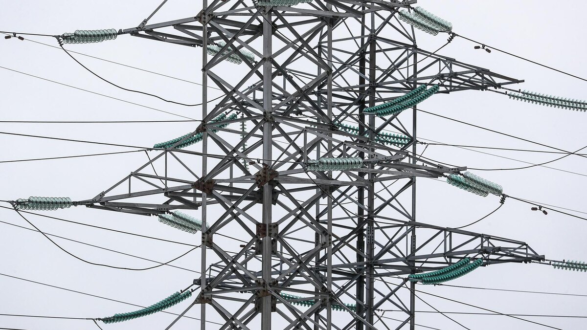    Фото: Bulkin Sergey/globallookpress.com