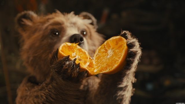    Кадр из фильма «Приключения Паддингтона»