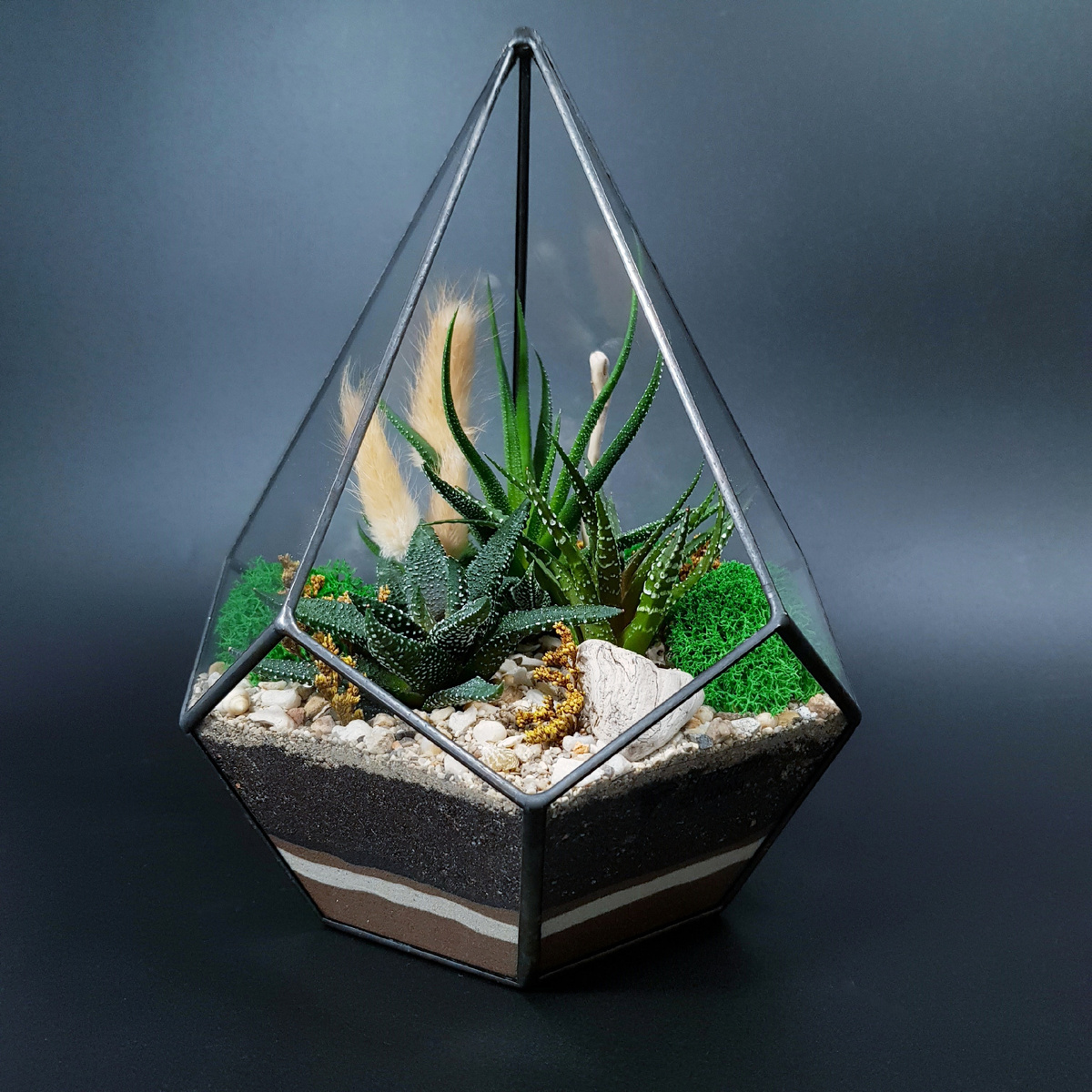 Работа фитостудии «Savanna»