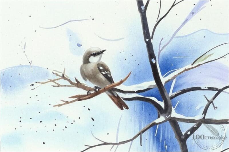 Ранняя птичка