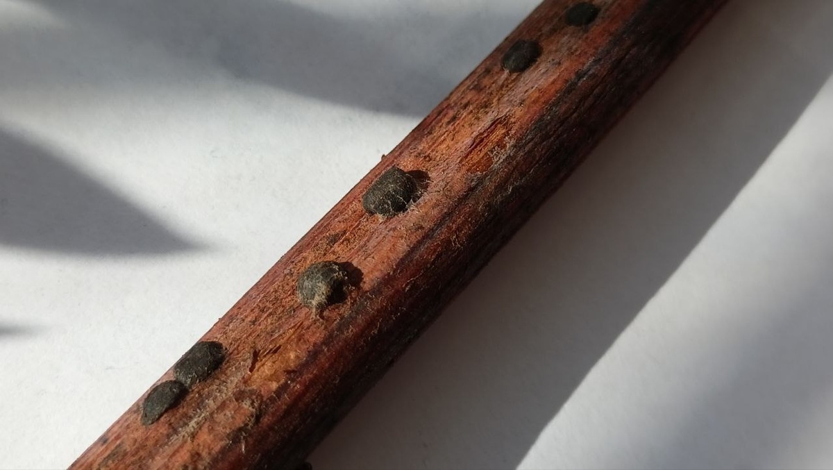 Фото подписчика 