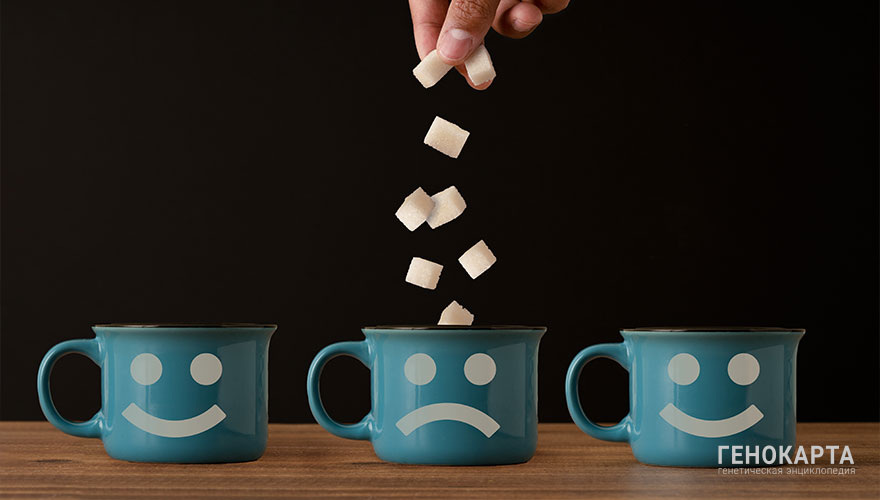 ozalpvahid // shutterstock.com