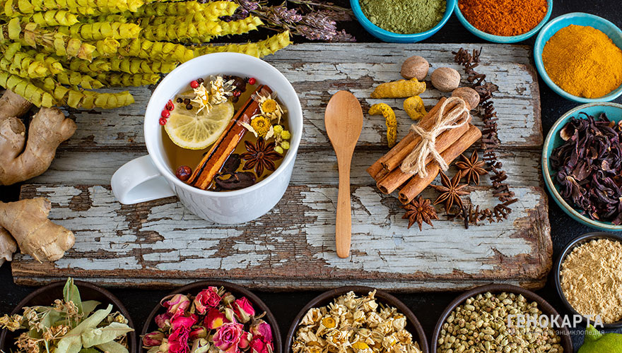 Gulcin Ragiboglu // shutterstock.com