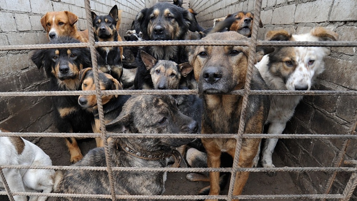 Фото: открытые источники