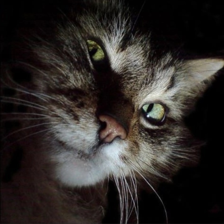 фото из общедоступных источников 