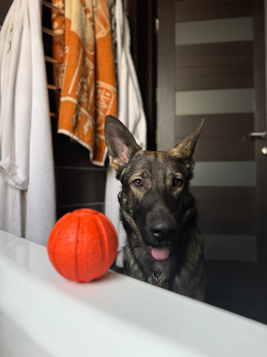 Моешься? Давай играть!