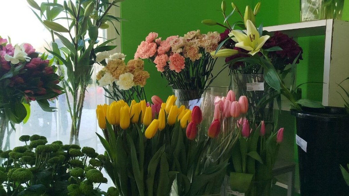    Фото: телеканал «Краснодар»