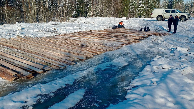 Фото: "Россети Ленэнерго"