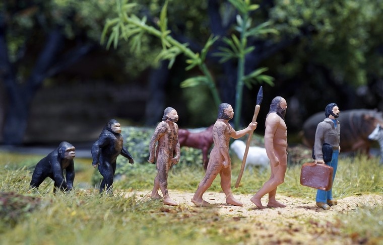    Shutterstock/FOTODOM