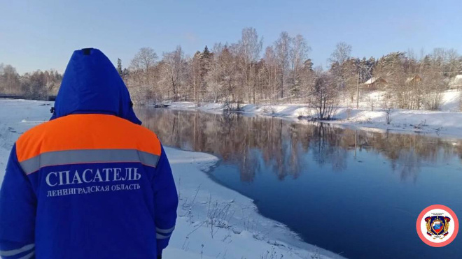 Фото: аварийно-спасательная служба Ленобласти (архив)