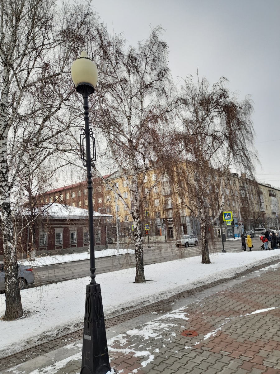 Фото автора.  На прогулке. Какие берёзы красивые!