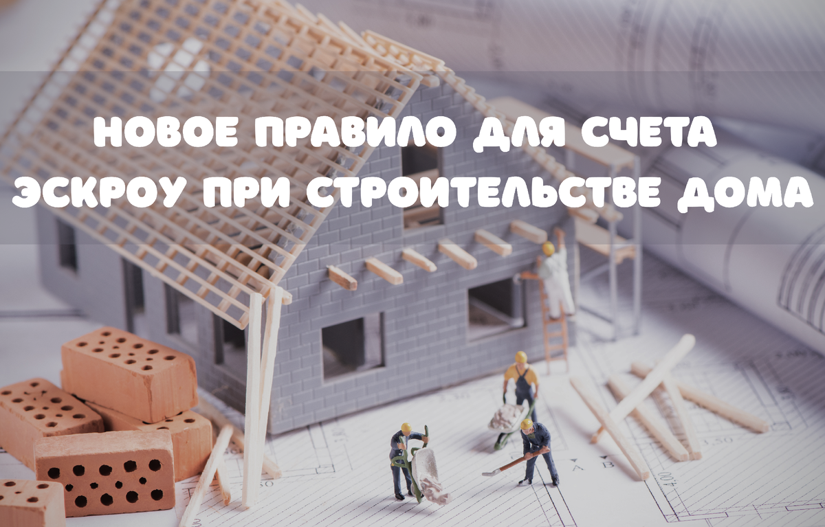 Фото: Fabio Balbi / Shutterstock